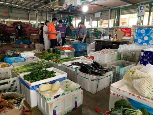 民生商品儲(chǔ)備充足 市民生活保障無(wú)憂(yōu)